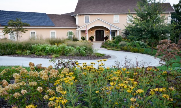 Creating a native oasis