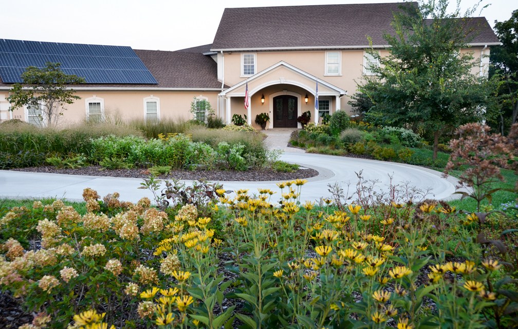 Creating a native oasis