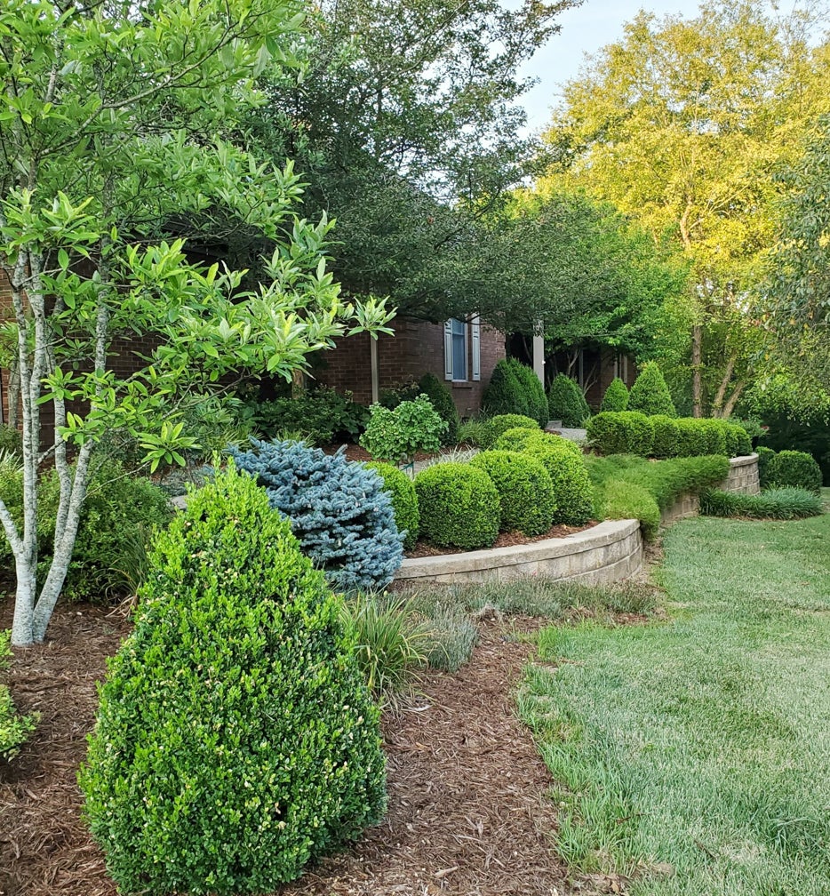 Outstanding landscape design leads The Garden Club of Frankfort to choose Barker home as Frankfort’s House of the Month