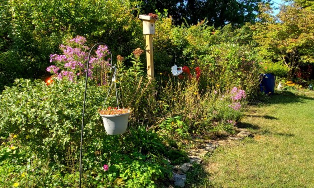 Landscaping for the whole family