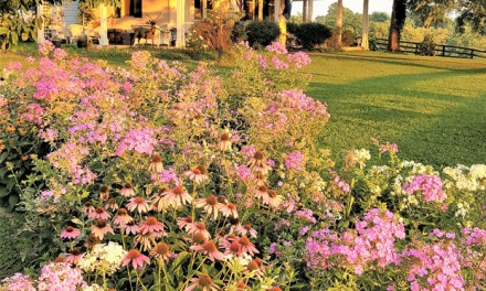 Gardening tradition: Luallen house chosen as The Garden Club of Frankfort’s House of the Month