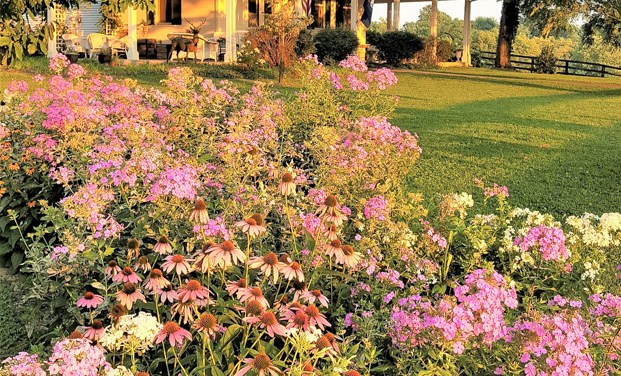 Gardening tradition: Luallen house chosen as The Garden Club of Frankfort’s House of the Month