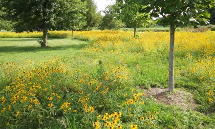 A living landscape