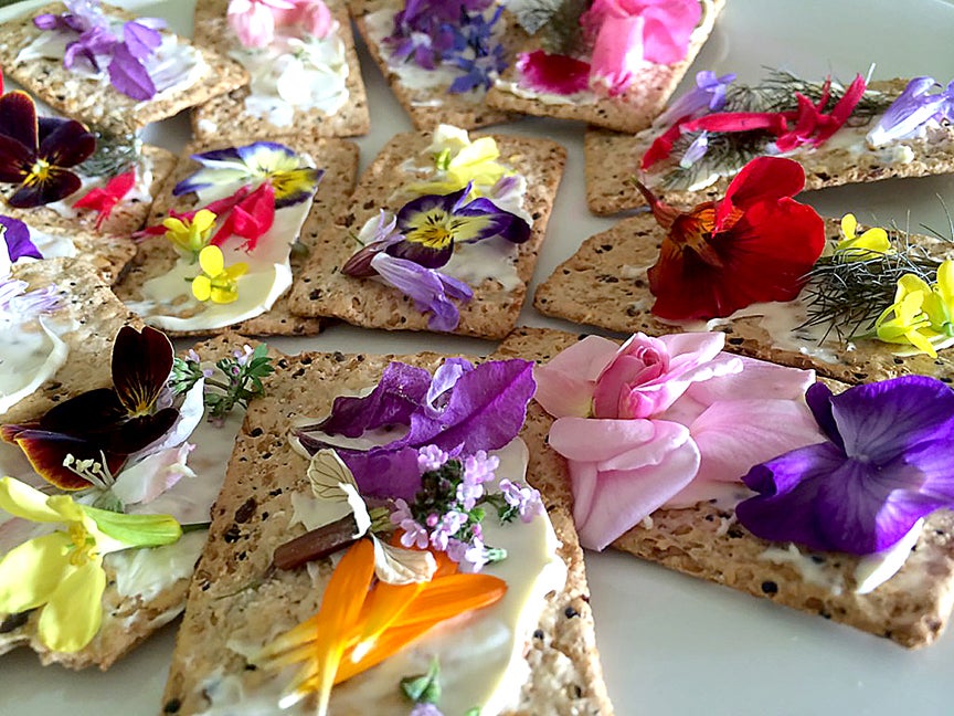 15 Best Edible Flowers for Baking, Cooking and Drinks - Article