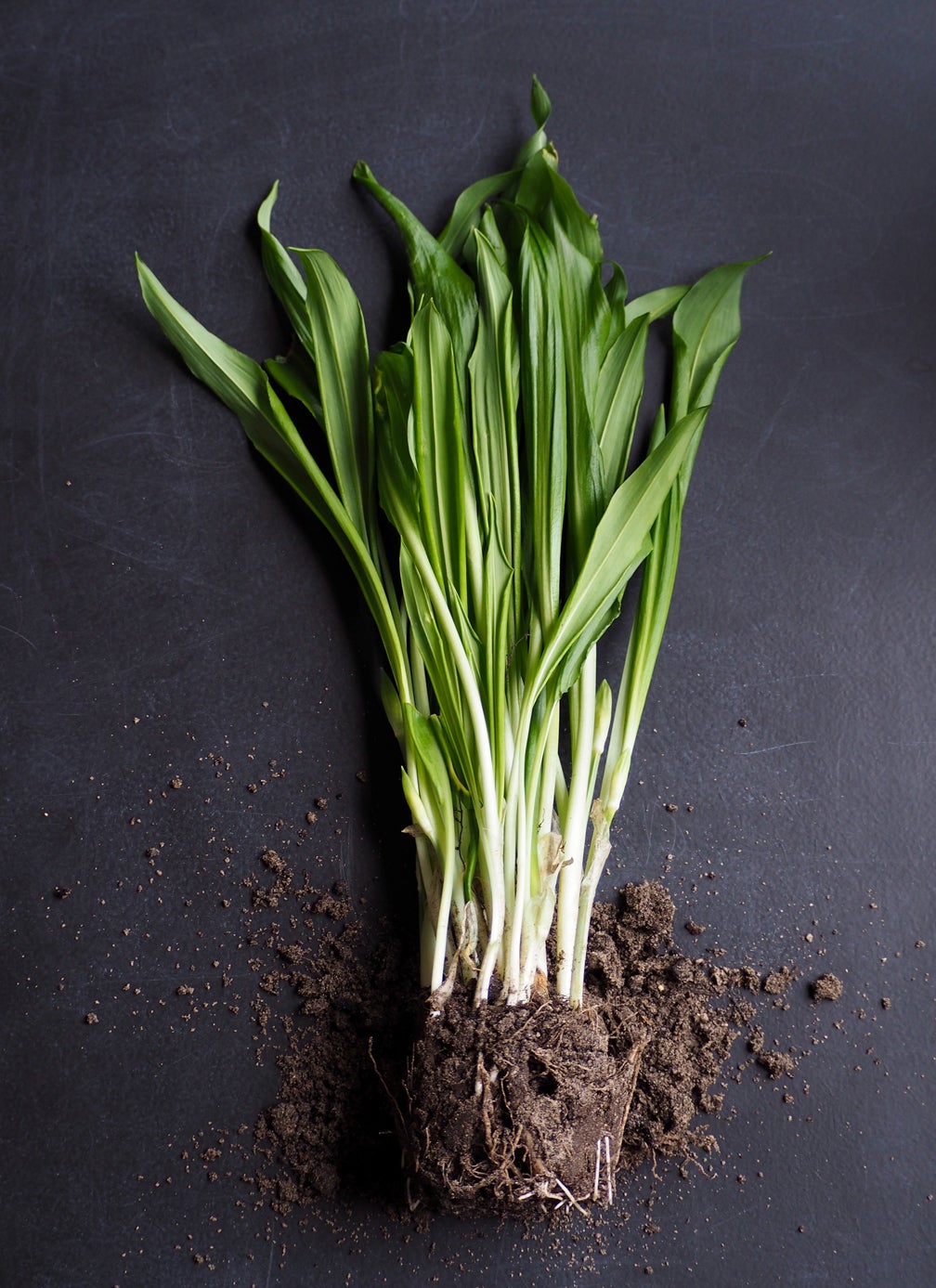 Ramps, or wild leeks, give food that homey, yet gourmet touch