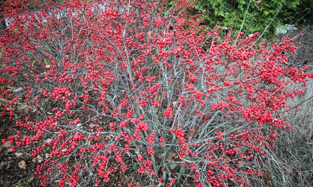 Berry magic