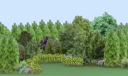 Nature-made art: Visions of a dynamic future at Josephine Sculpture Park