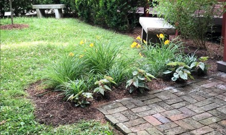 Lilian Lindsey Park honors a woman who made a difference