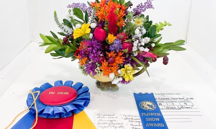 Petite Flower Show launches centennial celebration