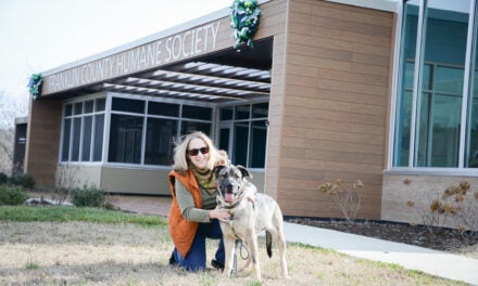Home away from home: Pets thriving at new Franklin County Humane Society, ready to meet their furever families