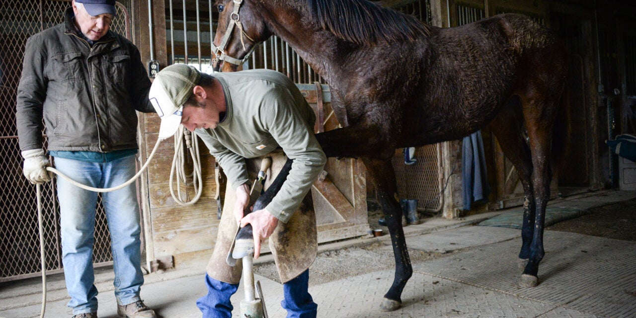 Gait Keeper: Frankfort farrier caring for Kentucky horses