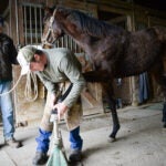 Gait Keeper: Frankfort farrier caring for Kentucky horses
