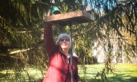 Caring for Kentucky birds: Garden Club of Frankfort maintains bird sanctuary at Capitol