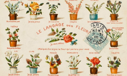 Whispers in Petals: Decoding the enchanting world of floriography