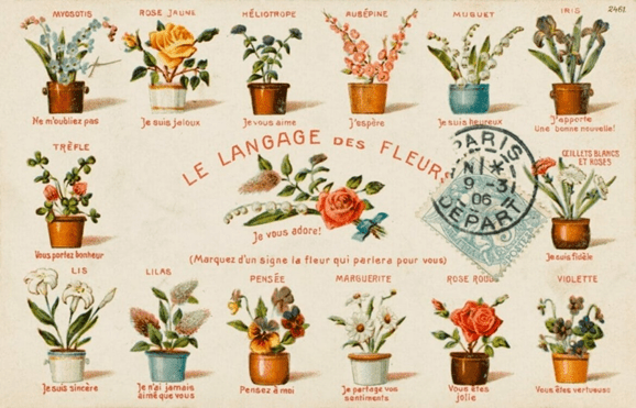 Whispers in Petals: Decoding the enchanting world of floriography