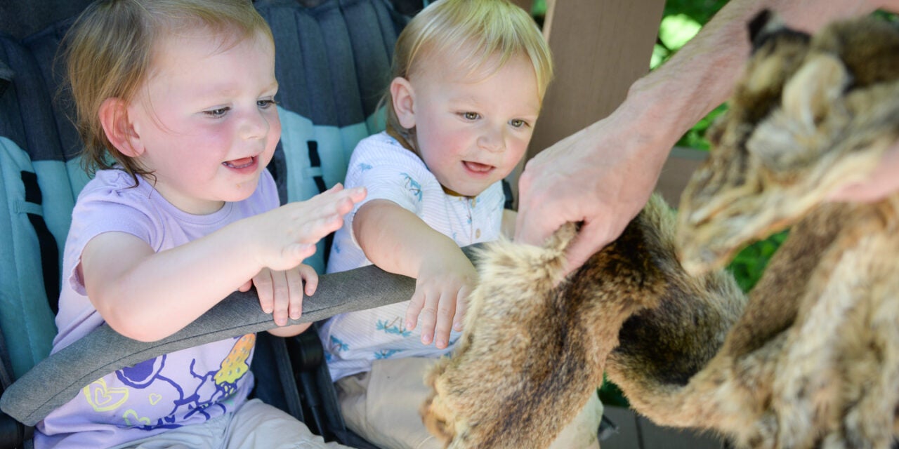 Salato Wildlife Education Center connecting kids and adults to Kentucky’s native wildlife