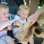 Salato Wildlife Education Center connecting kids and adults to Kentucky’s native wildlife