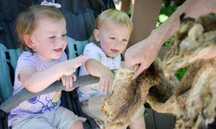 Salato Wildlife Education Center connecting kids and adults to Kentucky’s native wildlife