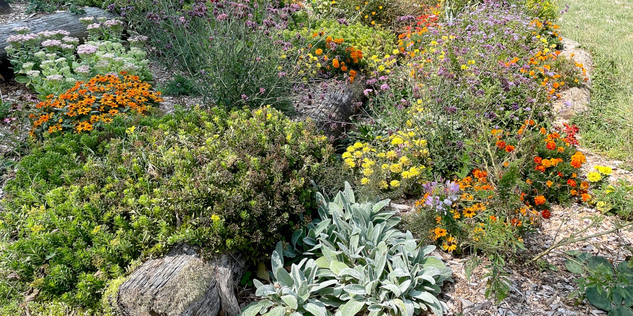 Pollinator garden beautifies hillside at Thorn Hill Education Center