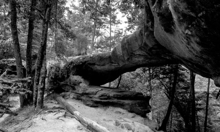 Local artist raising awarness through photography