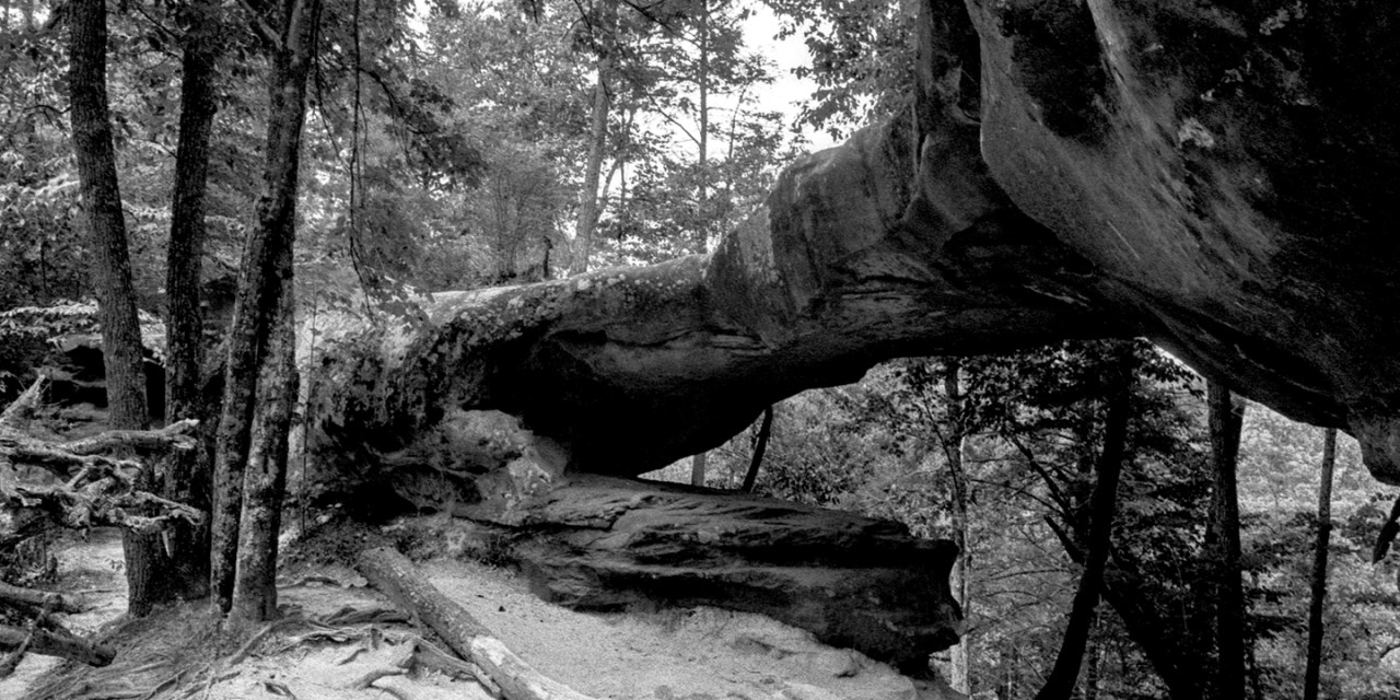 Local artist raising awarness through photography