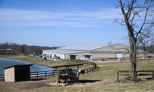 Destination horse: Lakeside Arena hosts variety of shows