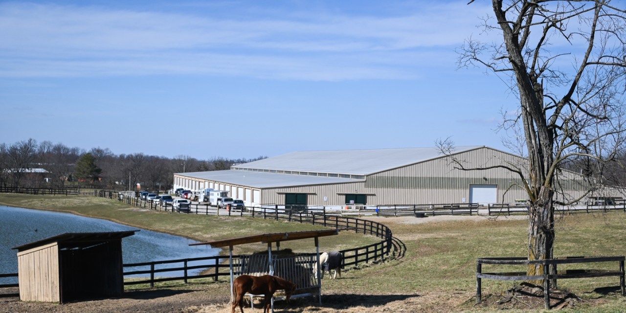 Destination horse: Lakeside Arena hosts variety of shows
