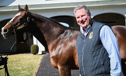 Mark Toothaker: Knowing horses is his business