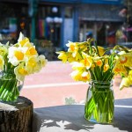 The season of flowers: The Kentucky Flower Market offering fresh locally grown blooms