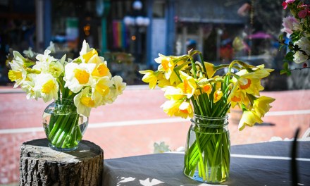 The season of flowers: The Kentucky Flower Market offering fresh locally grown blooms