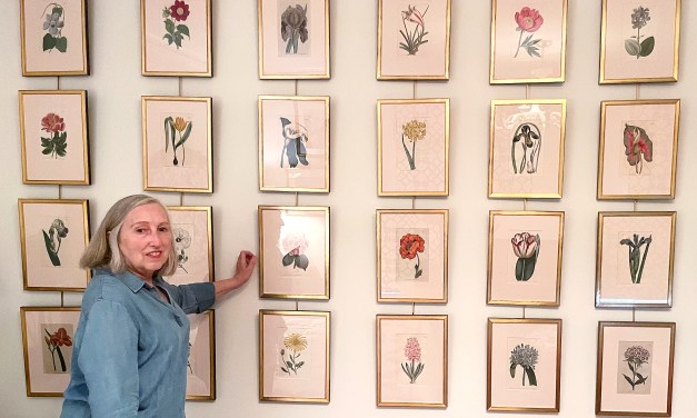 Flowers from the past: At home with an indoor garden