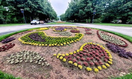 Garden Club of Frankfort presents Beautification Awards