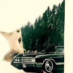 Cozy up to these suggested books