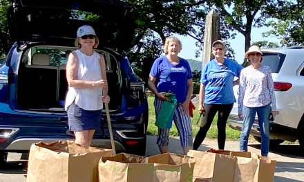 ‘Roots and Horizons, the Gardens that Connect Us’: Garden Club of Frankfort welcoming new members