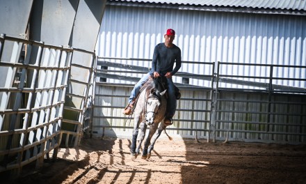 Lane Colston continuing success in National Reining Horse Association competitions