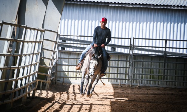 Lane Colston continuing success in National Reining Horse Association competitions