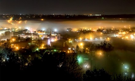 Night pollution affects nature and humans