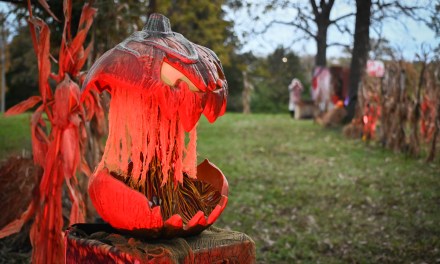 Take a stroll down the Nightmare on Flamingo Avenue haunted trail