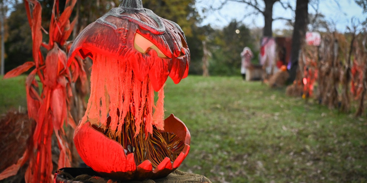 Take a stroll down the Nightmare on Flamingo Avenue haunted trail