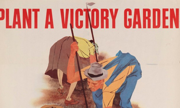 The history of American gardening