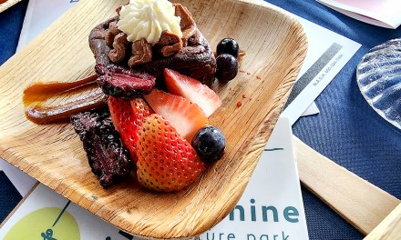 Indulge in elevated culinary experiences