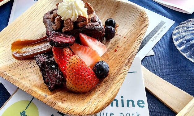Indulge in elevated culinary experiences
